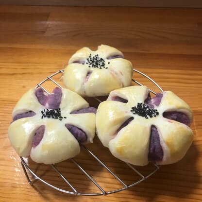 自宅で収穫した紫芋で作りました。クリームが甘くて美味しい。